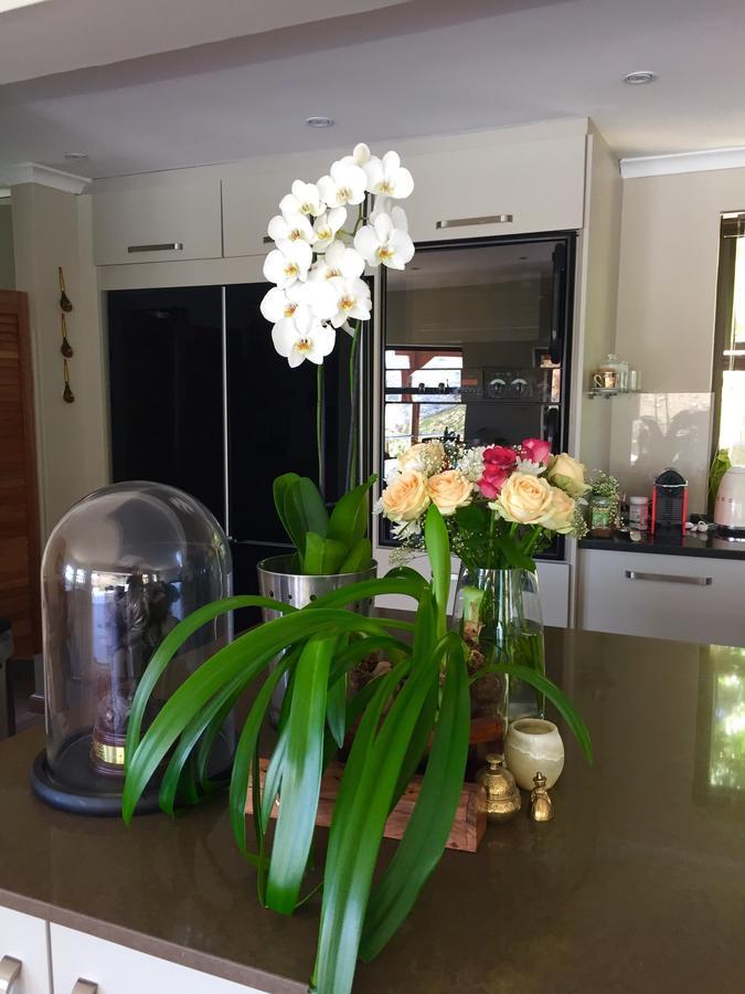 Bed and Breakfast Protea Point Kapstadt Exterior foto